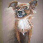 aout 2009vanille 001