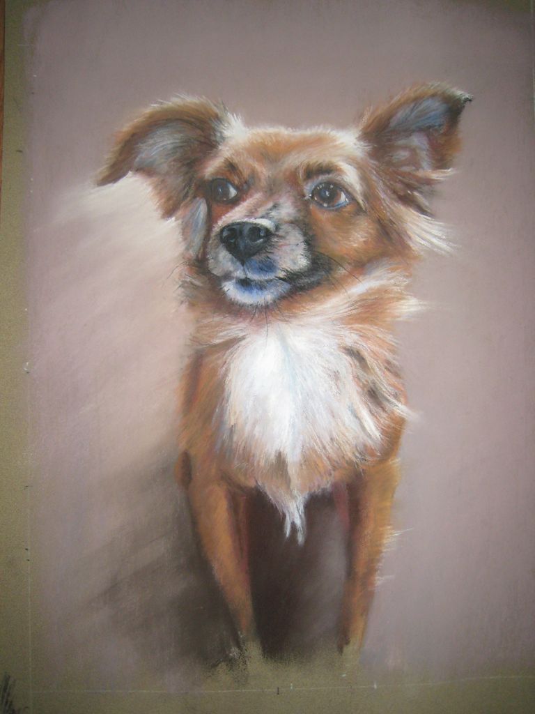 aout 2009vanille 001