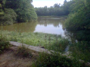 parc-montbron