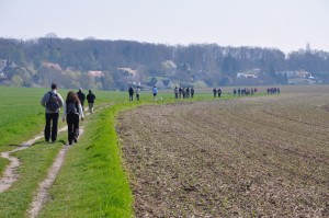 Sortie découverte sur le plateau de Saclay