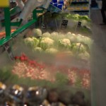 Rafraîchissement des légumes par brumisateur