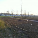 IMG_0203 IMG_0203