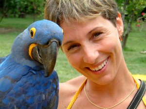 arara bleu martha