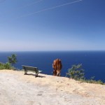 Olivier  Delouya - Cap Corse, sur la route de Canari à Marinca, le 8 août 2012