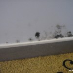 humidite mur saclay
