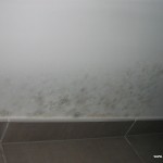 humidite mur saclay