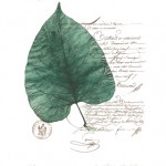 Lithographie