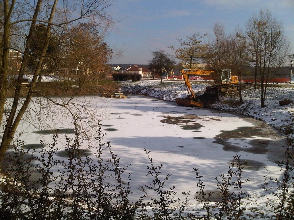 IMG00528-20100214-1158