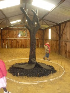 arbre calciné