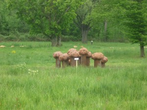 champignons ?